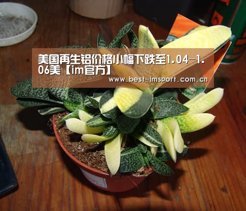 美国再生铝价格小幅下跌至1.04-1.06美【im官方】