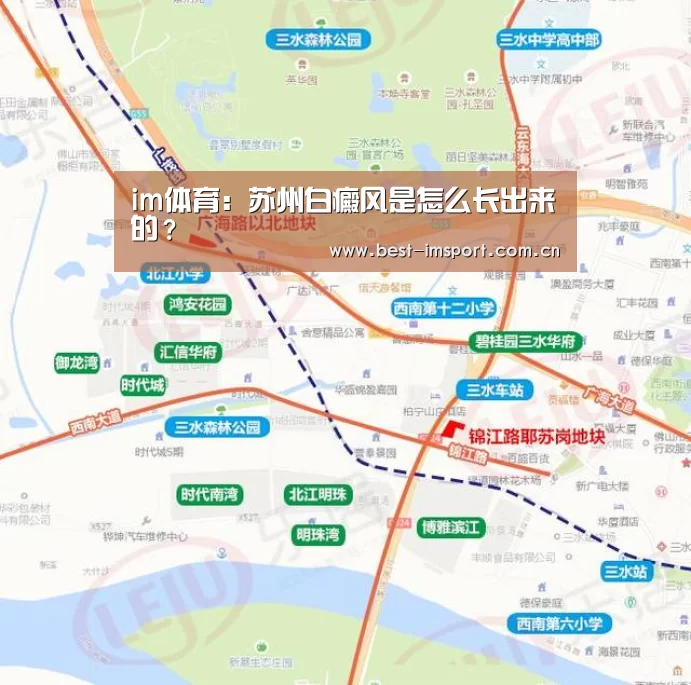 im体育投注