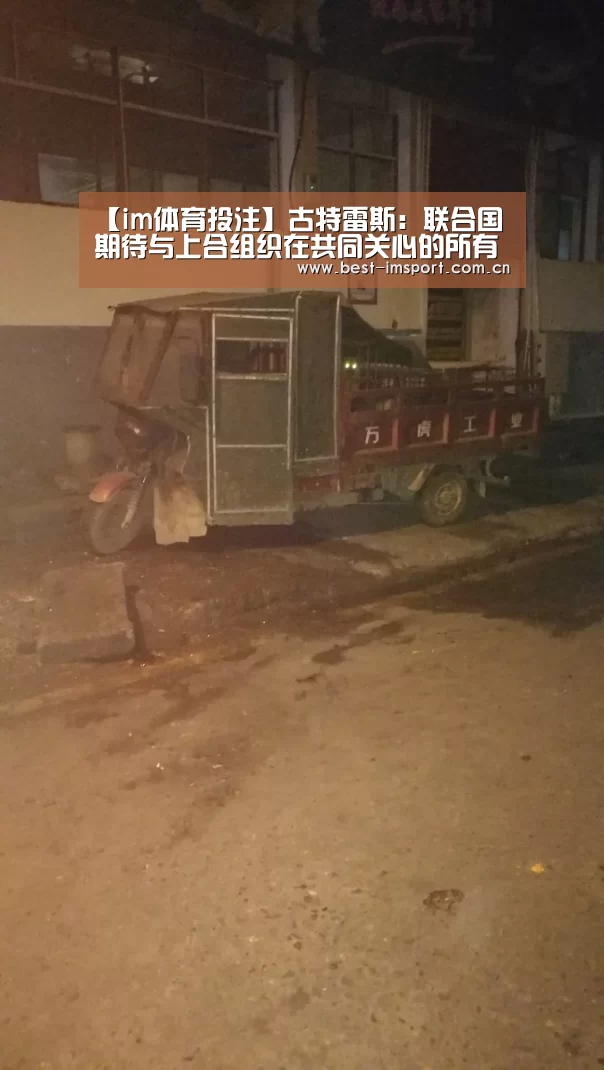 im体育投注