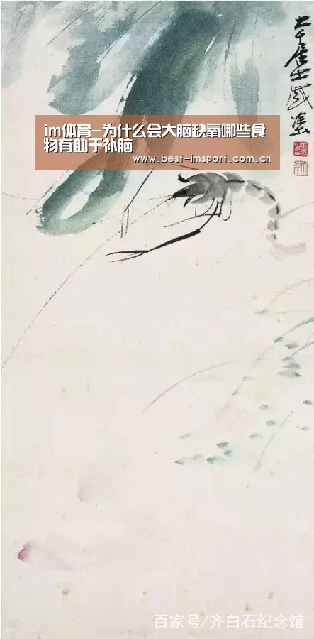 im体育官网