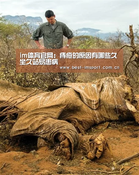 im体育