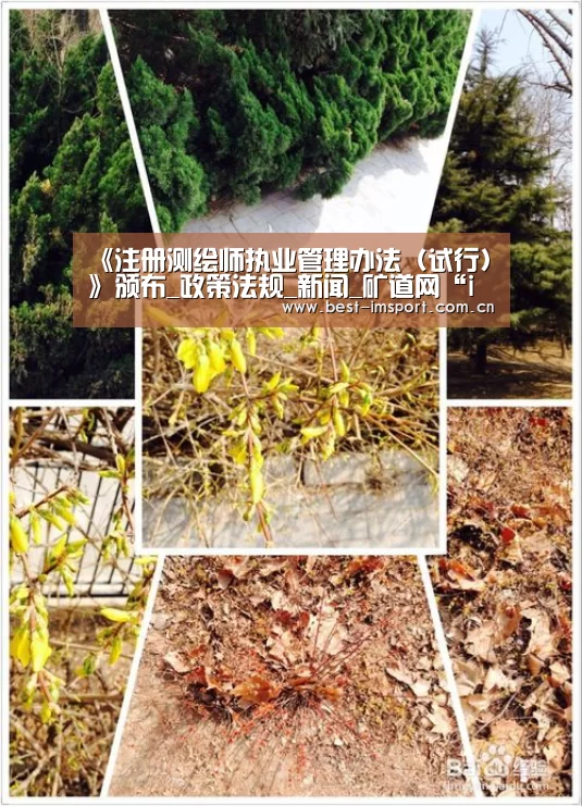 im体育官网