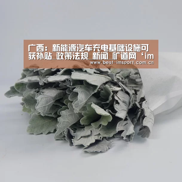 广西：新能源汽车充电基础设施可获补贴_政策法规_新闻_矿道网